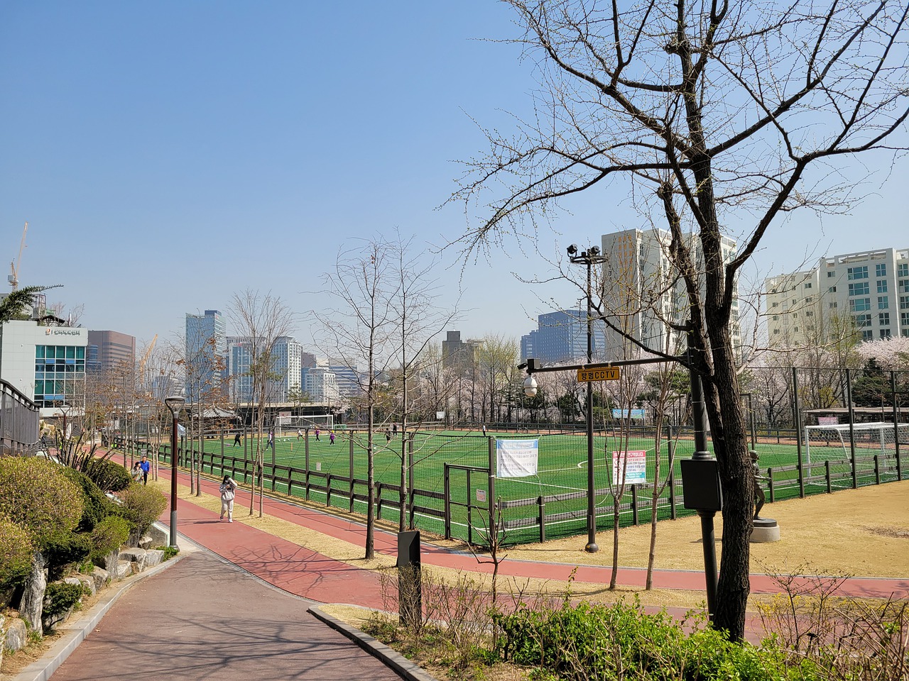 提供了科学