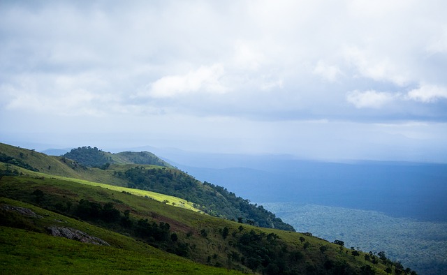 山東泰山曾