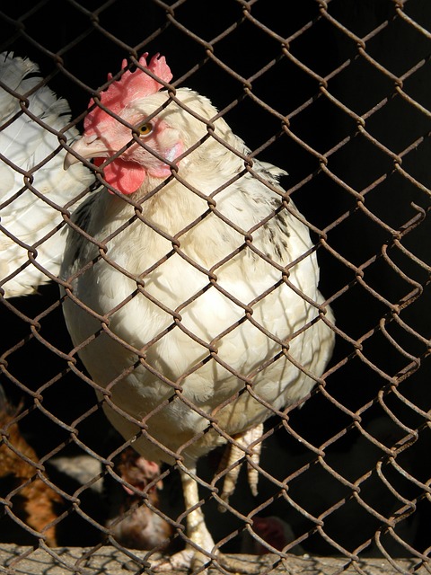 最终结果是 最终结果是