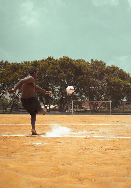 鲜明对比 鲜明对比