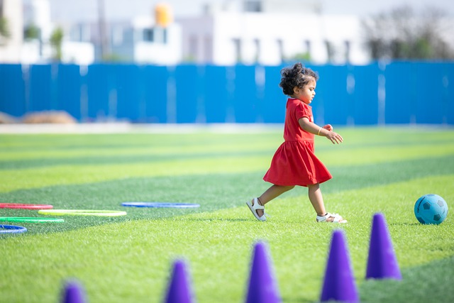 阳活动的数 阳活动的数
