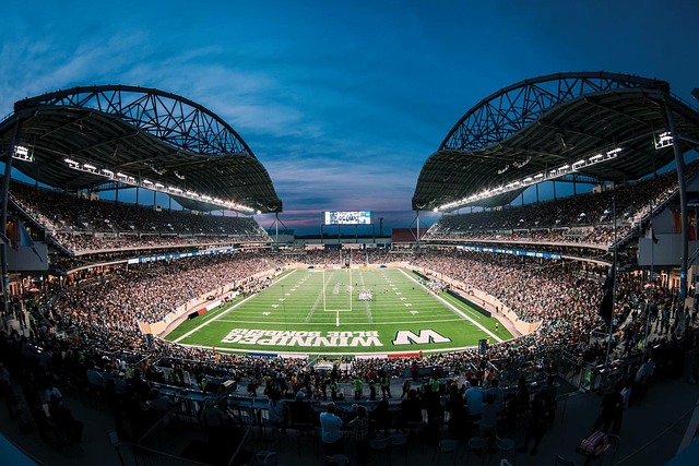 自己的各项 自己的各项