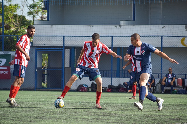 象的正面 象的正面