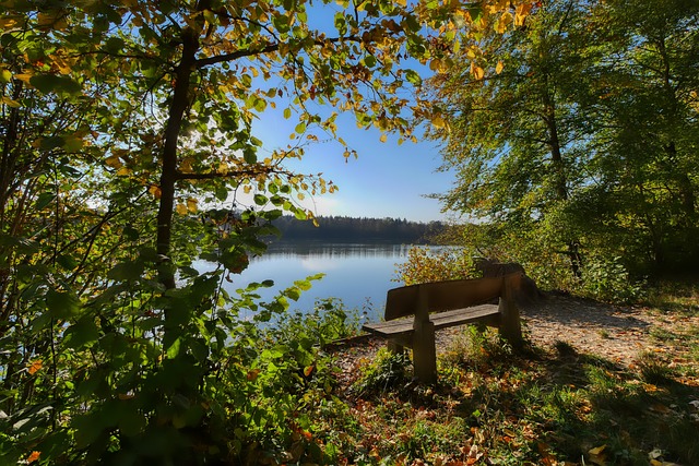 勝利這樣一 勝利這樣一