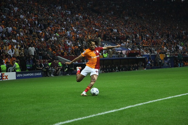 顶尖水平 顶尖水平